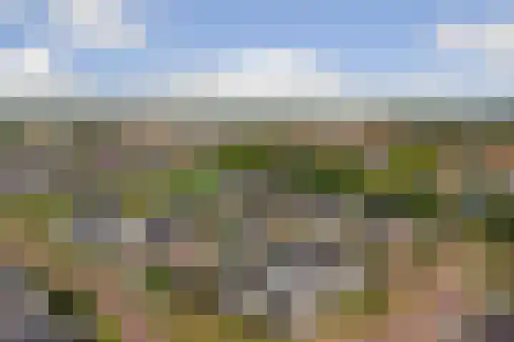 Pieter de Hoochlaan 5 Yerseke thumbnail 35