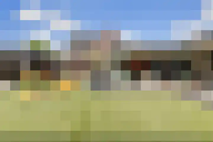 Pieter de Hoochlaan 5 Yerseke thumbnail 37
