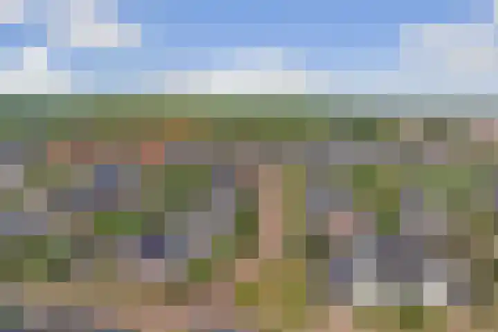 Pieter de Hoochlaan 5 Yerseke thumbnail 4