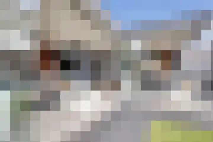 Pieter de Hoochlaan 5 Yerseke thumbnail 42