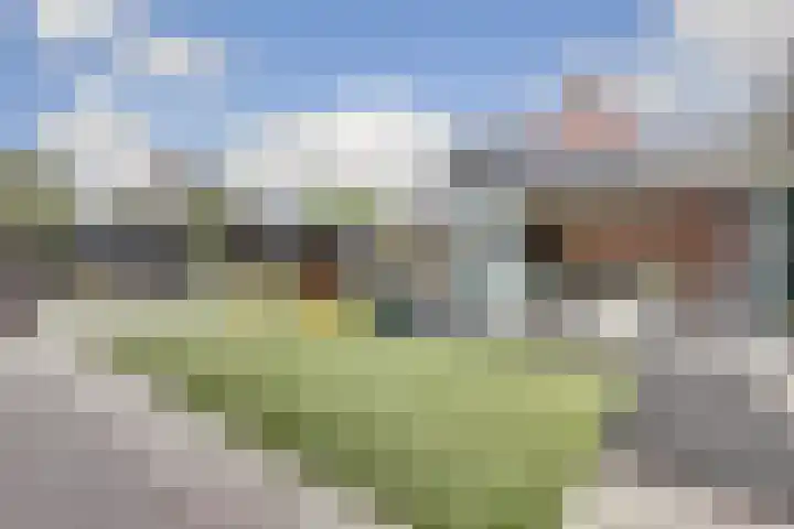 Pieter de Hoochlaan 5 Yerseke thumbnail 44