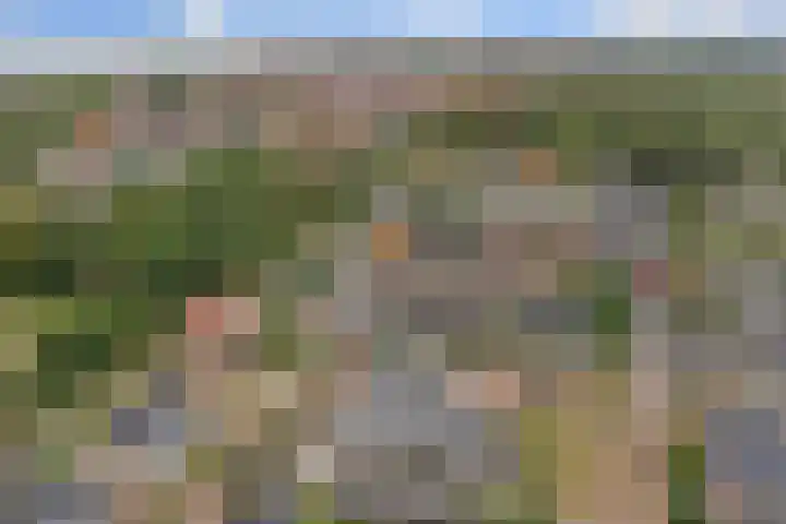 Pieter de Hoochlaan 5 Yerseke thumbnail 48