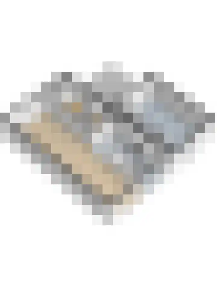 Pieter de Hoochlaan 5 Yerseke thumbnail 56