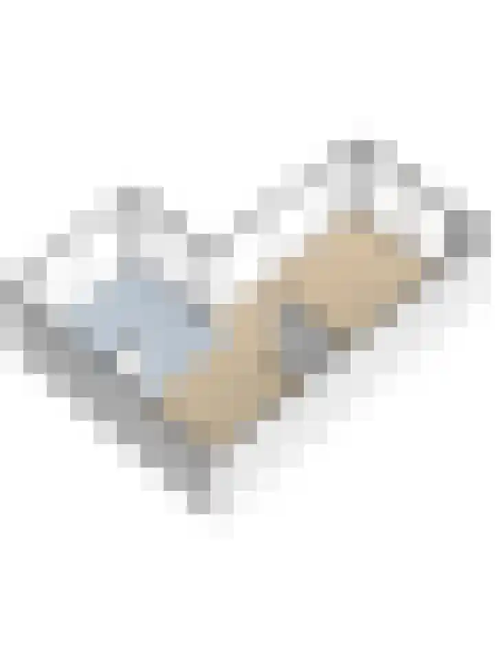 Pieter de Hoochlaan 5 Yerseke thumbnail 59