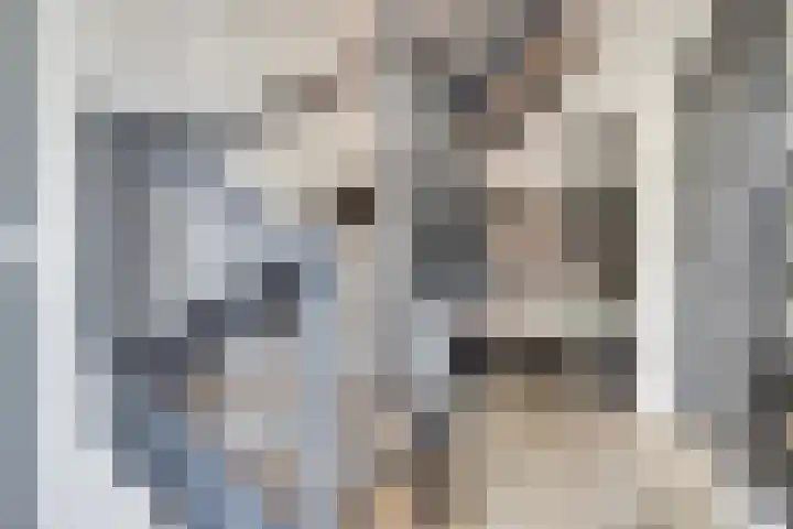 Pieter de Hoochlaan 5 Yerseke thumbnail 7