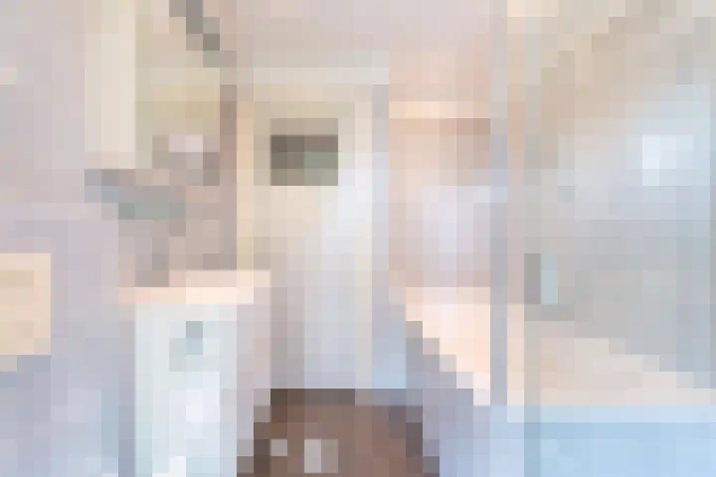 Pieter de Hoochlaan 7 Oegstgeest thumbnail 17