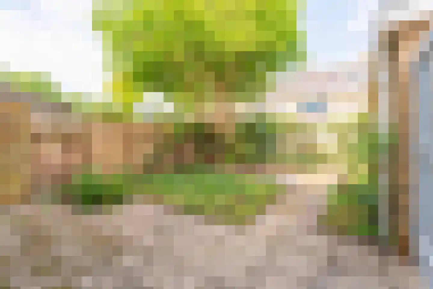 Pieter de Hoochlaan 7 Oegstgeest thumbnail 30