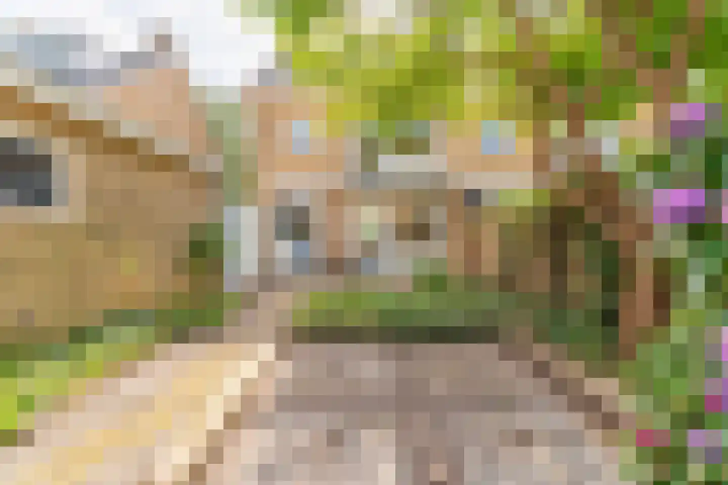 Pieter de Hoochlaan 7 Oegstgeest thumbnail 31
