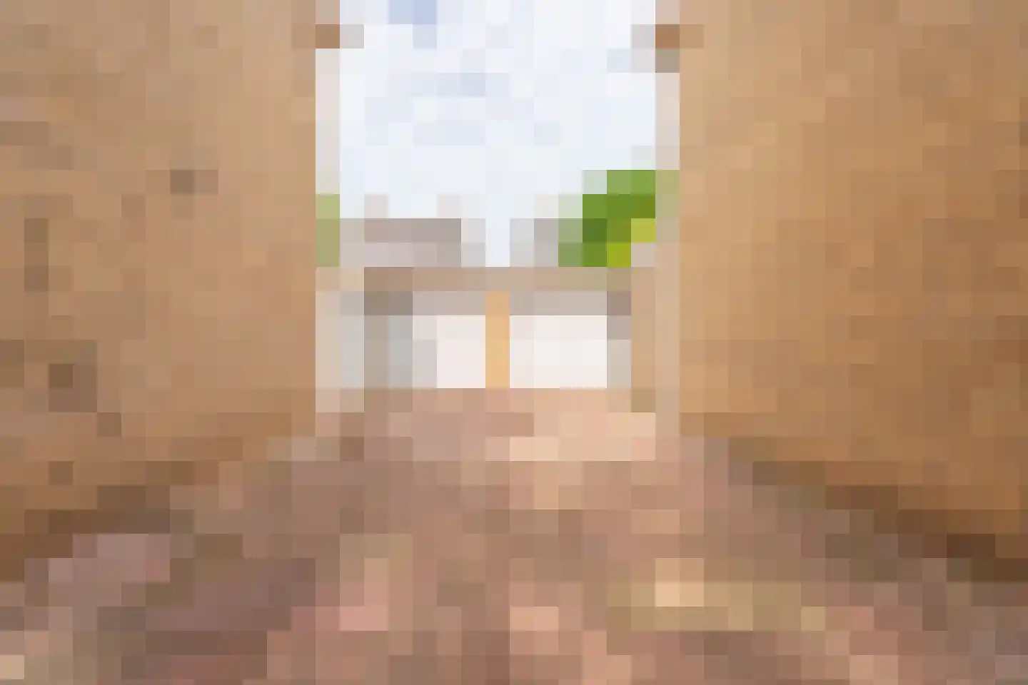 Pieter de Hoochlaan 7 Oegstgeest thumbnail 33