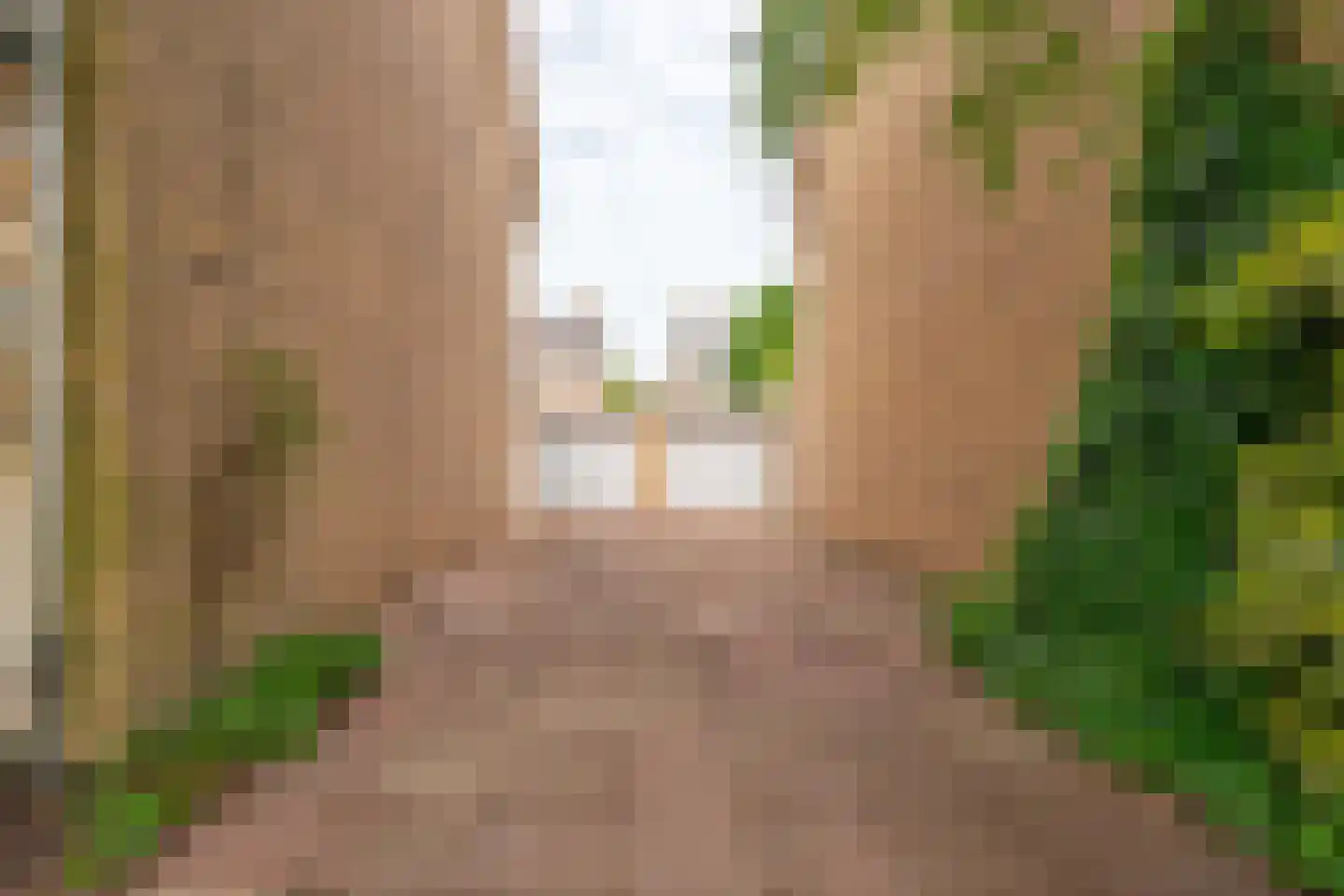 Pieter de Hoochlaan 7 Oegstgeest thumbnail 34