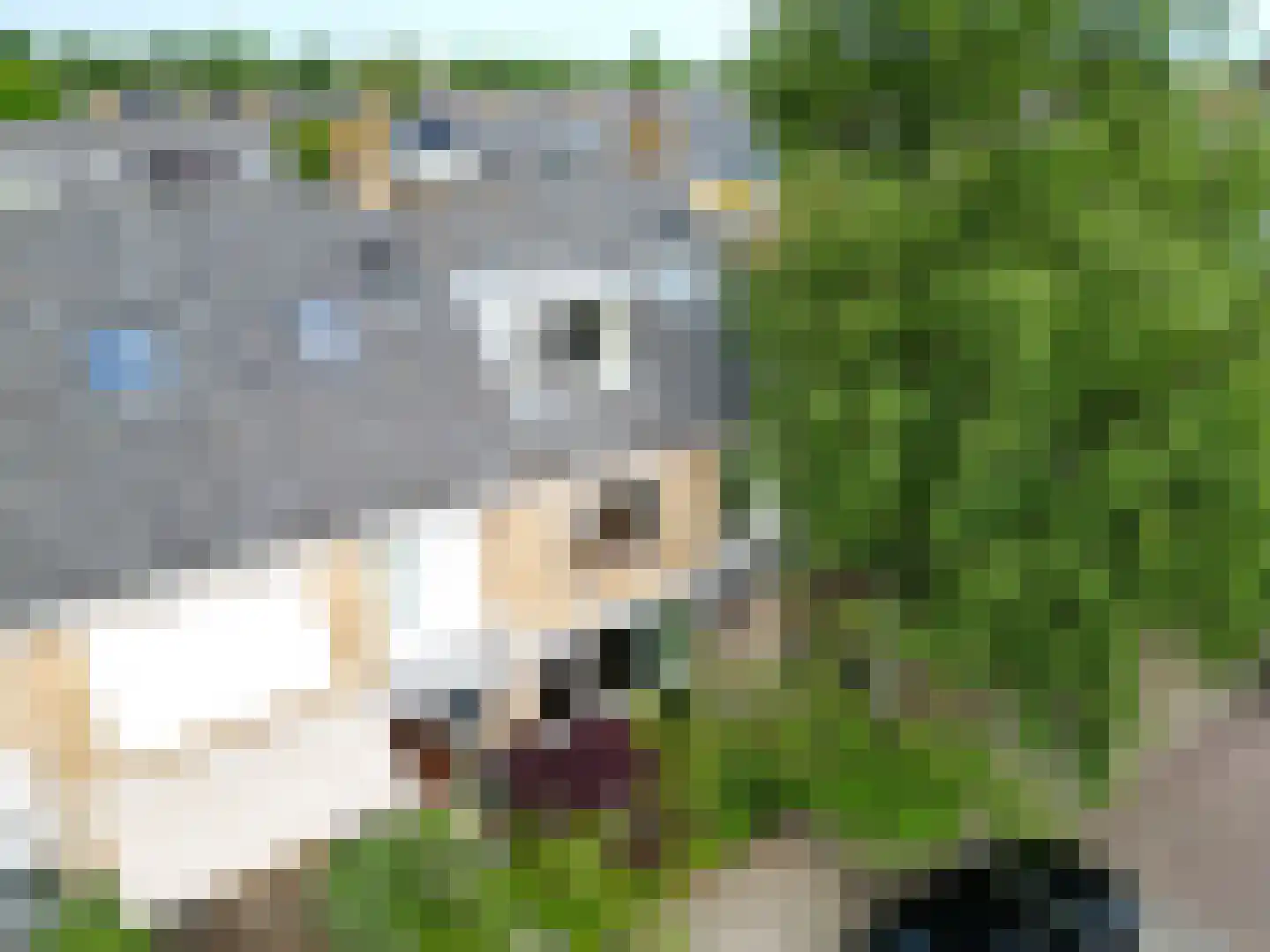Pieter de Hoochlaan 7 Oegstgeest thumbnail 38
