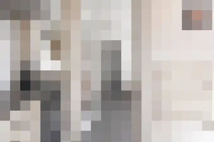Pieter de Hoochlaan 90 Apeldoorn thumbnail 11