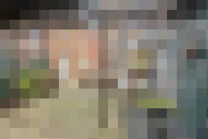 Pieter de Hoochlaan 90 Apeldoorn thumbnail 15