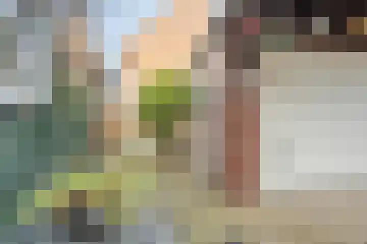 Pieter de Hoochlaan 90 Apeldoorn thumbnail 16