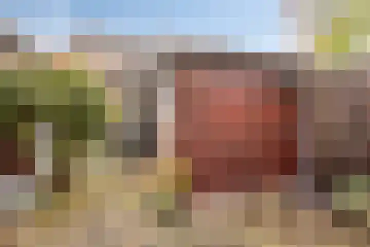 Pieter de Hoochlaan 90 Apeldoorn thumbnail 18