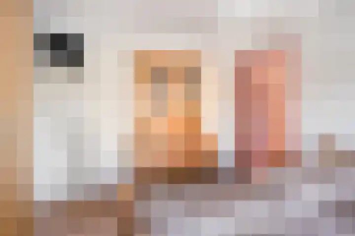 Pieter de Hoochlaan 90 Apeldoorn thumbnail 21