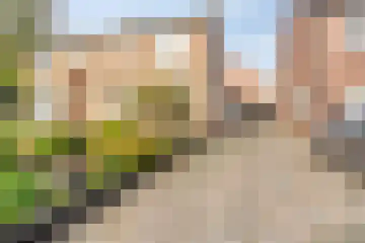 Pieter de Hoochlaan 90 Apeldoorn thumbnail 26