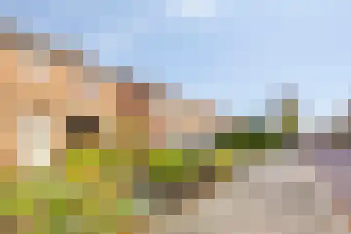 Pieter de Hoochlaan 90 Apeldoorn thumbnail 27