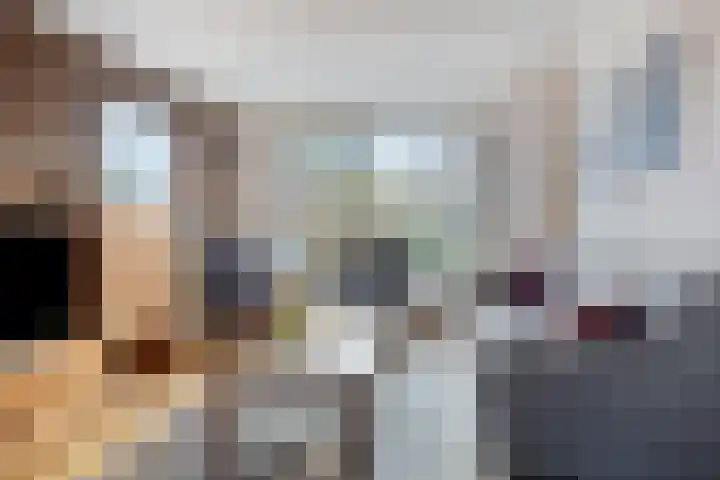 Pieter de Hoochlaan 90 Apeldoorn thumbnail 6
