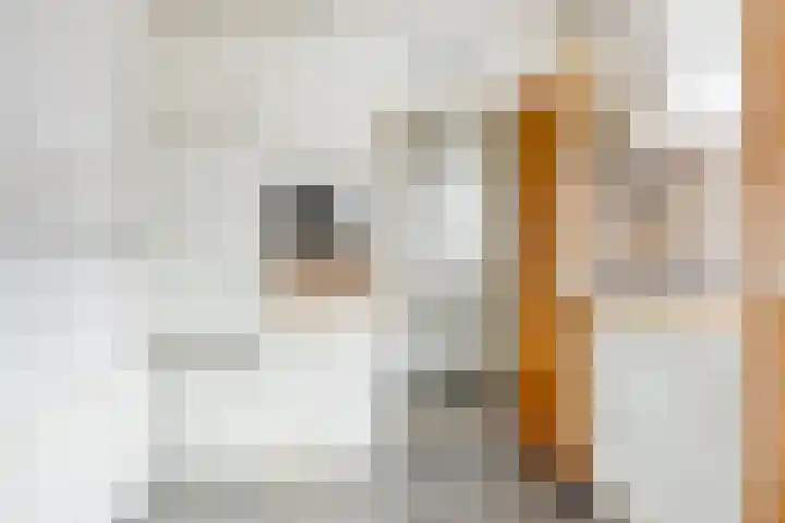 Pieter de Hoochlaan 98 Apeldoorn thumbnail 13