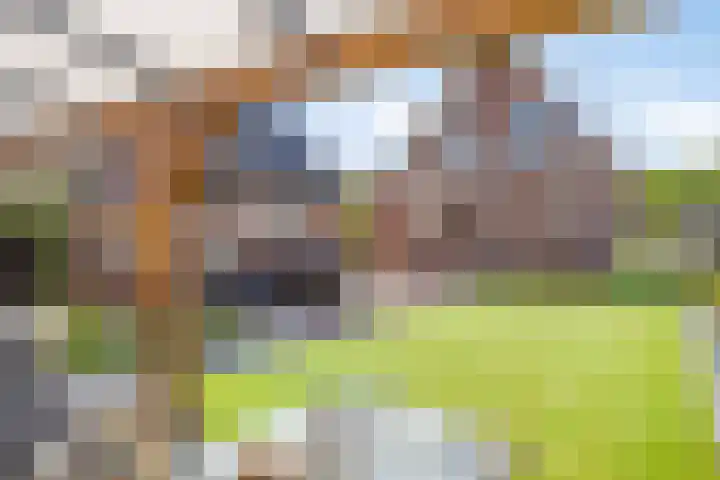 Pieter de Hoochlaan 98 Apeldoorn thumbnail 16