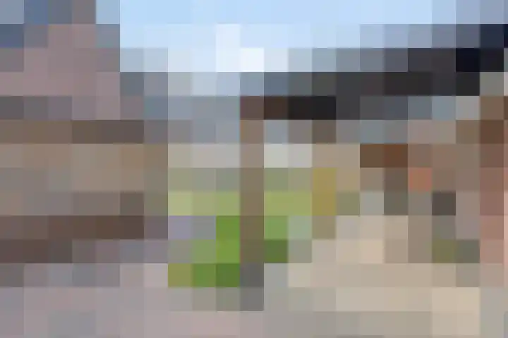 Pieter de Hoochlaan 98 Apeldoorn thumbnail 20