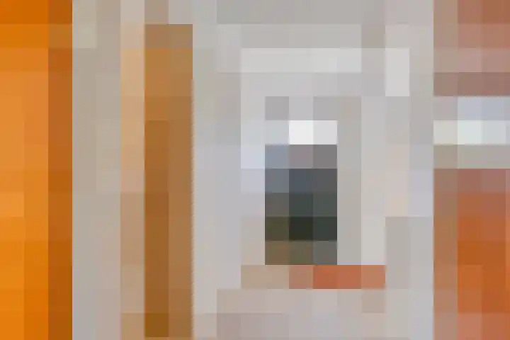 Pieter de Hoochlaan 98 Apeldoorn thumbnail 21