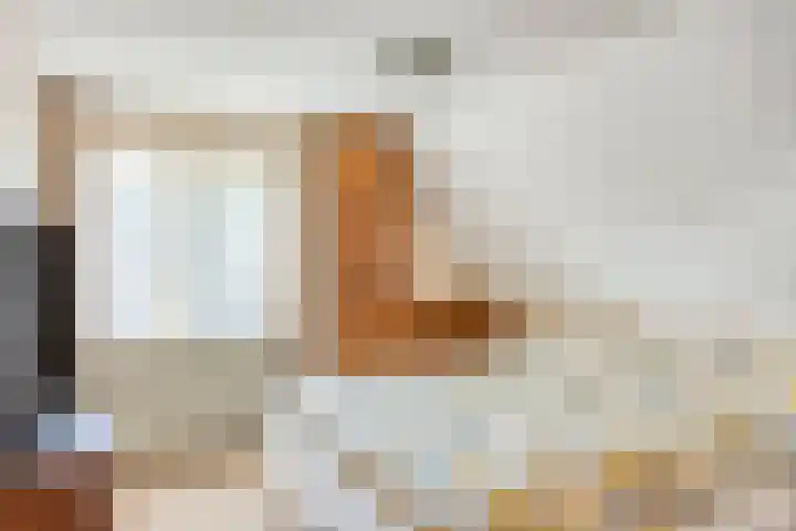 Pieter de Hoochlaan 98 Apeldoorn thumbnail 23