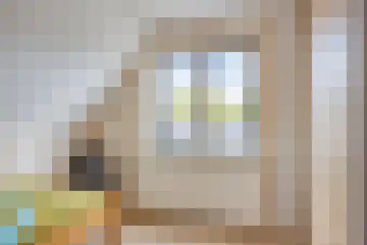 Pieter de Hoochlaan 98 Apeldoorn thumbnail 25