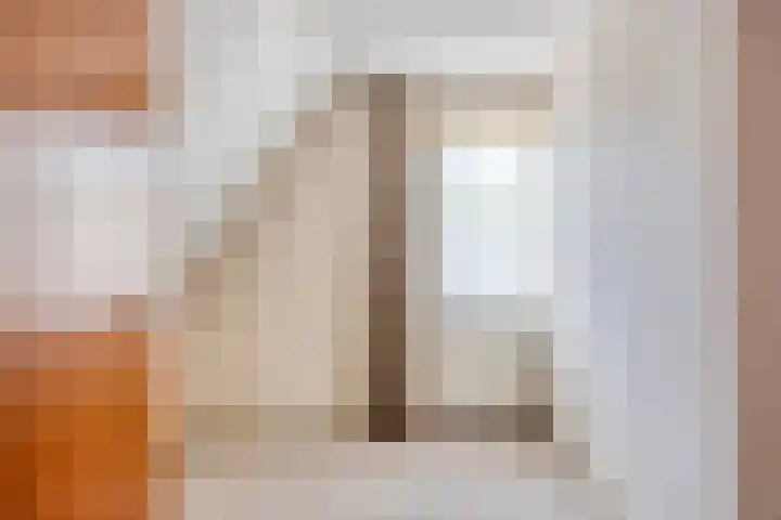 Pieter de Hoochlaan 98 Apeldoorn thumbnail 26