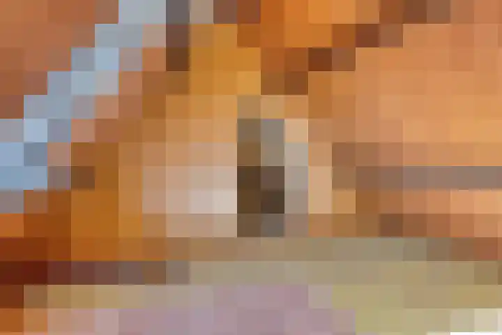 Pieter de Hoochlaan 98 Apeldoorn thumbnail 29