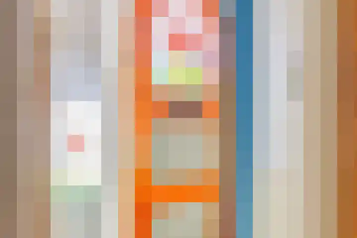 Pieter de Hoochlaan 98 Apeldoorn thumbnail 39