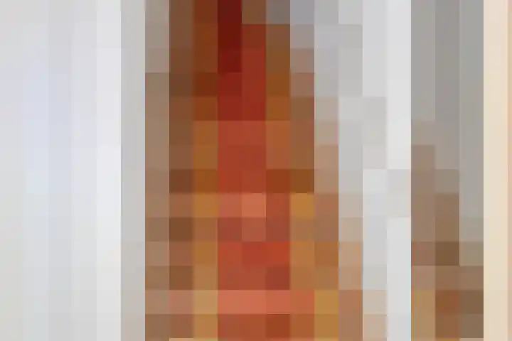 Pieter de Hoochlaan 98 Apeldoorn thumbnail 40