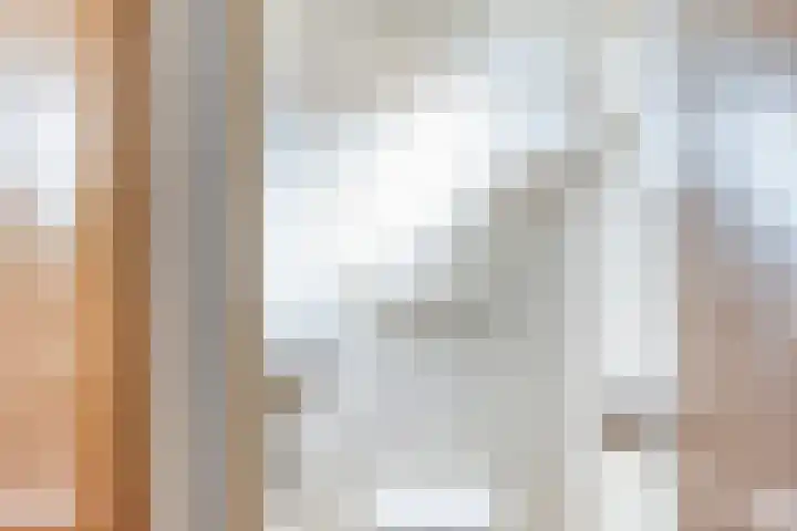 Pieter de Hoochlaan 98 Apeldoorn thumbnail 41