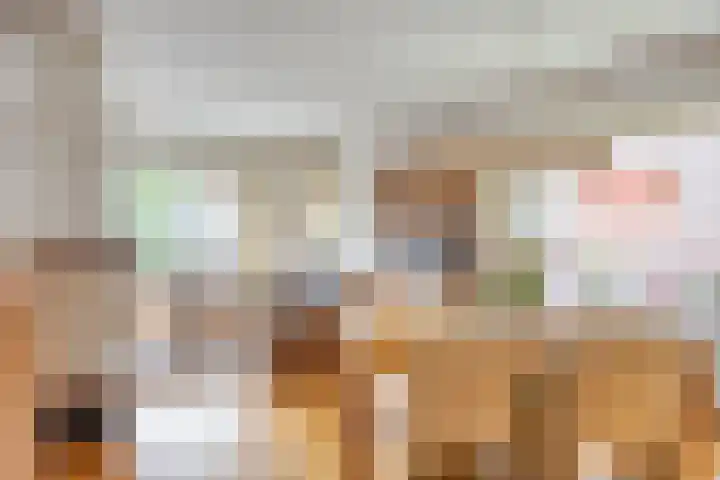 Pieter de Hoochlaan 98 Apeldoorn thumbnail 6