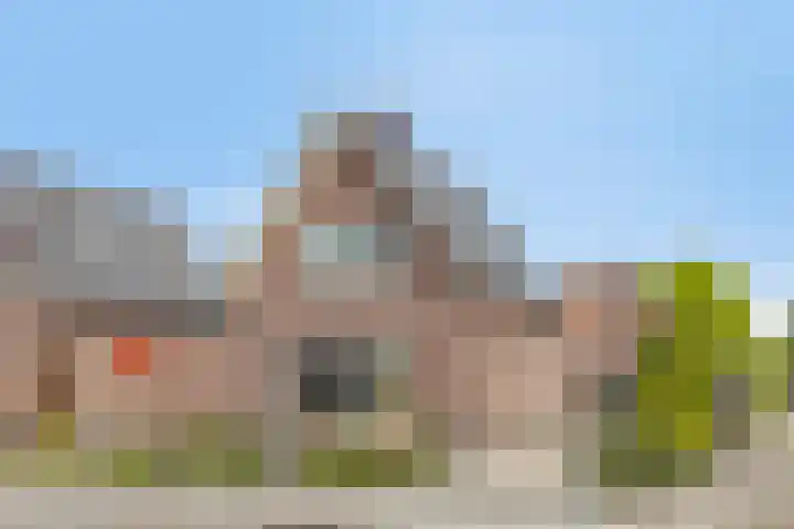 Pieter de Hoochlaan 98 Apeldoorn thumbnail 61