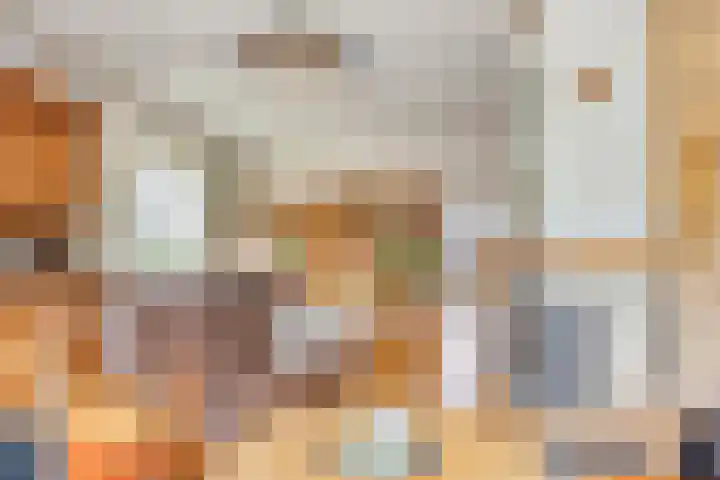 Pieter de Hoochlaan 98 Apeldoorn thumbnail 8