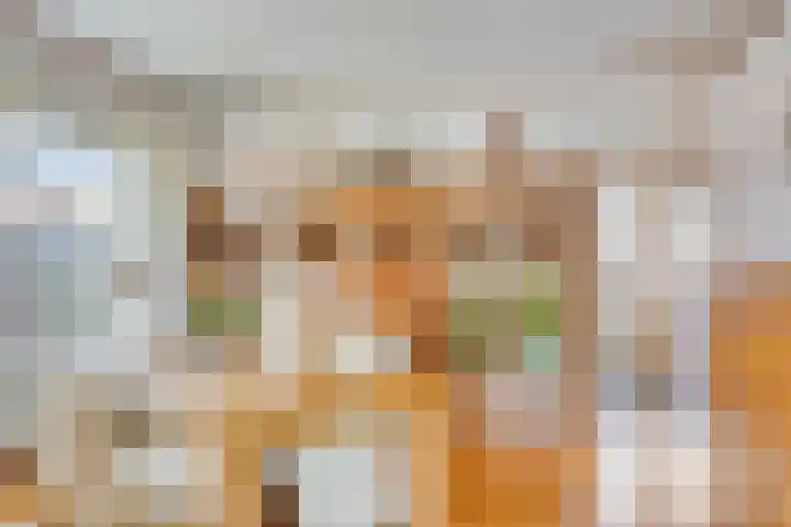 Pieter de Hoochlaan 98 Apeldoorn thumbnail 9