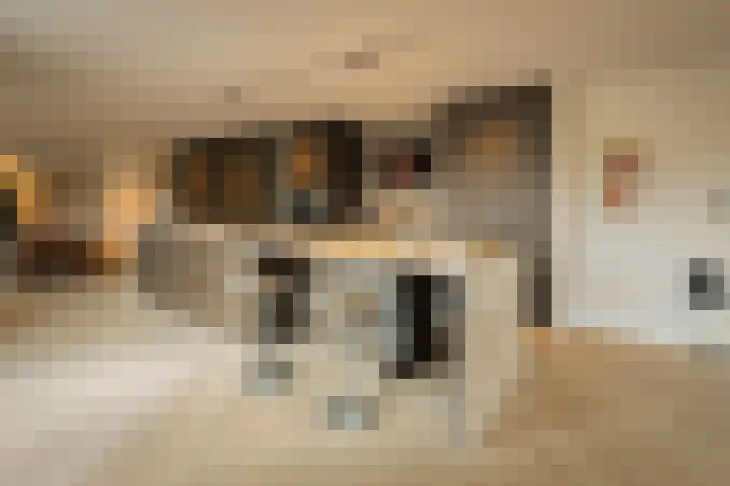Pieter de Hoochstraat 11 A 3 Amsterdam thumbnail 10