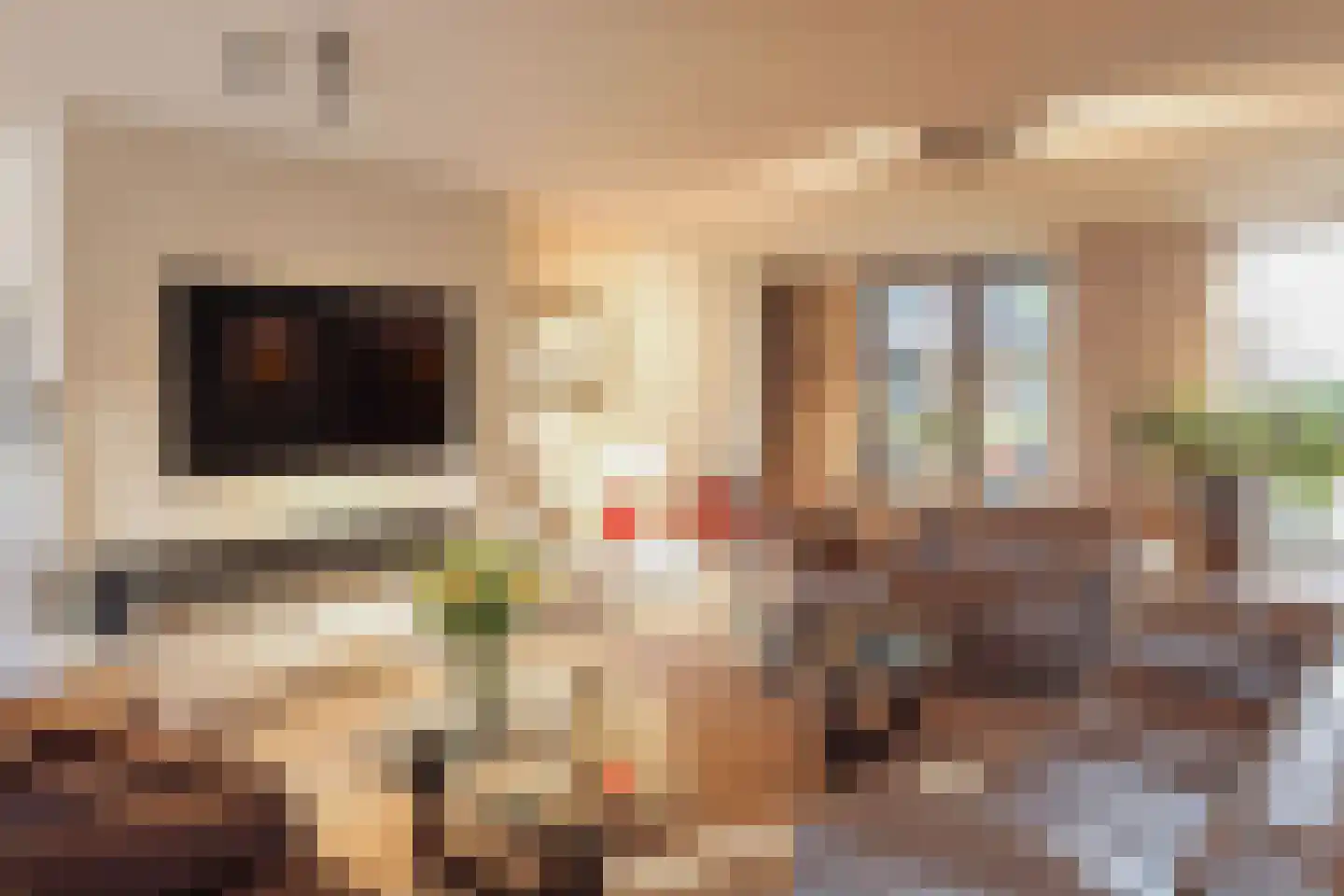 Pieter de Hoochstraat 11 A 3 Amsterdam thumbnail 4