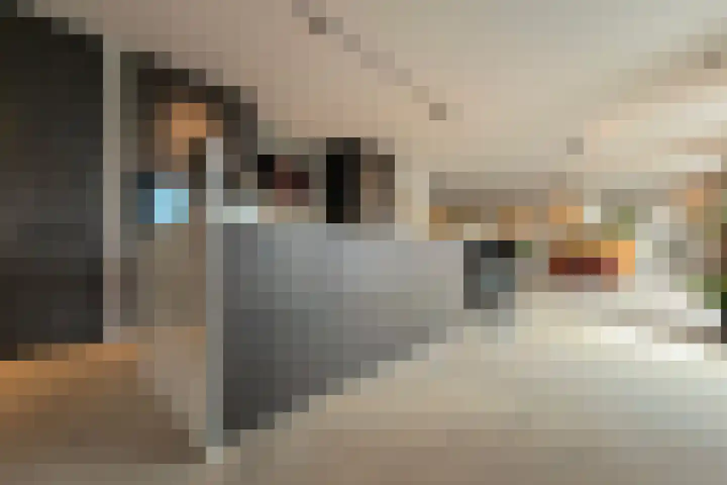 Pieter de Hoochstraat 11 A 3 Amsterdam thumbnail 9