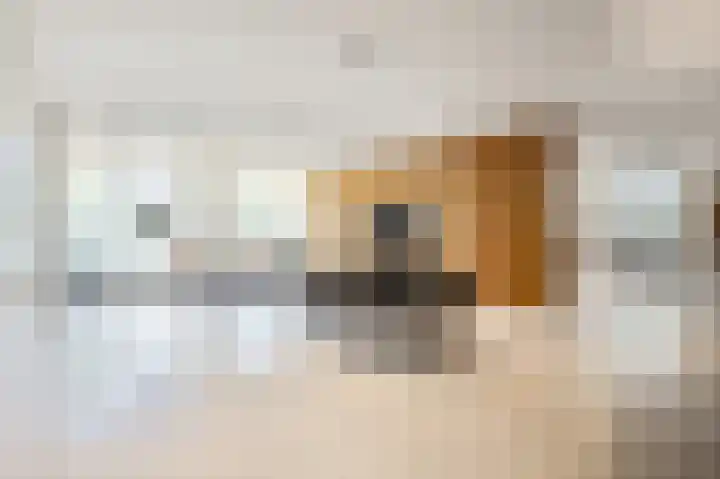 Pieter de Hoochstraat 11 B 1 Amsterdam thumbnail 11