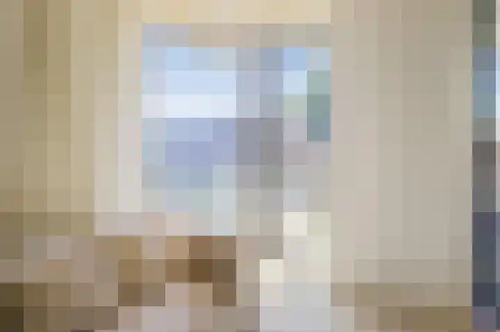 Pieter de Hoochstraat 11 B 1 Amsterdam thumbnail 30