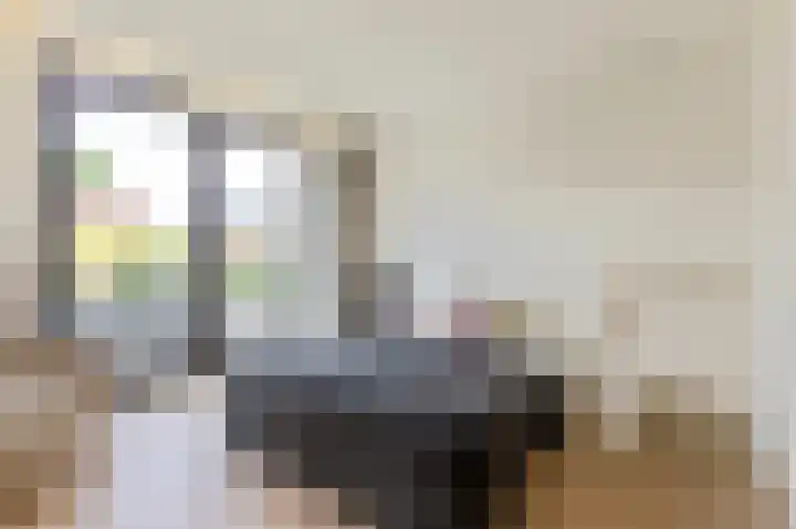 Pieter de Hoochstraat 11 B 1 Amsterdam thumbnail 36