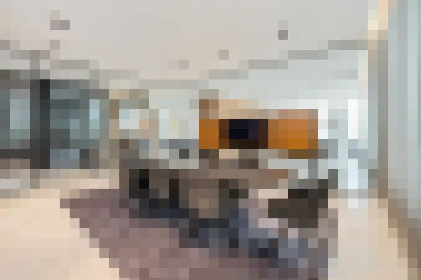 Pieter de Hoochstraat 11 D 1 Amsterdam thumbnail 11