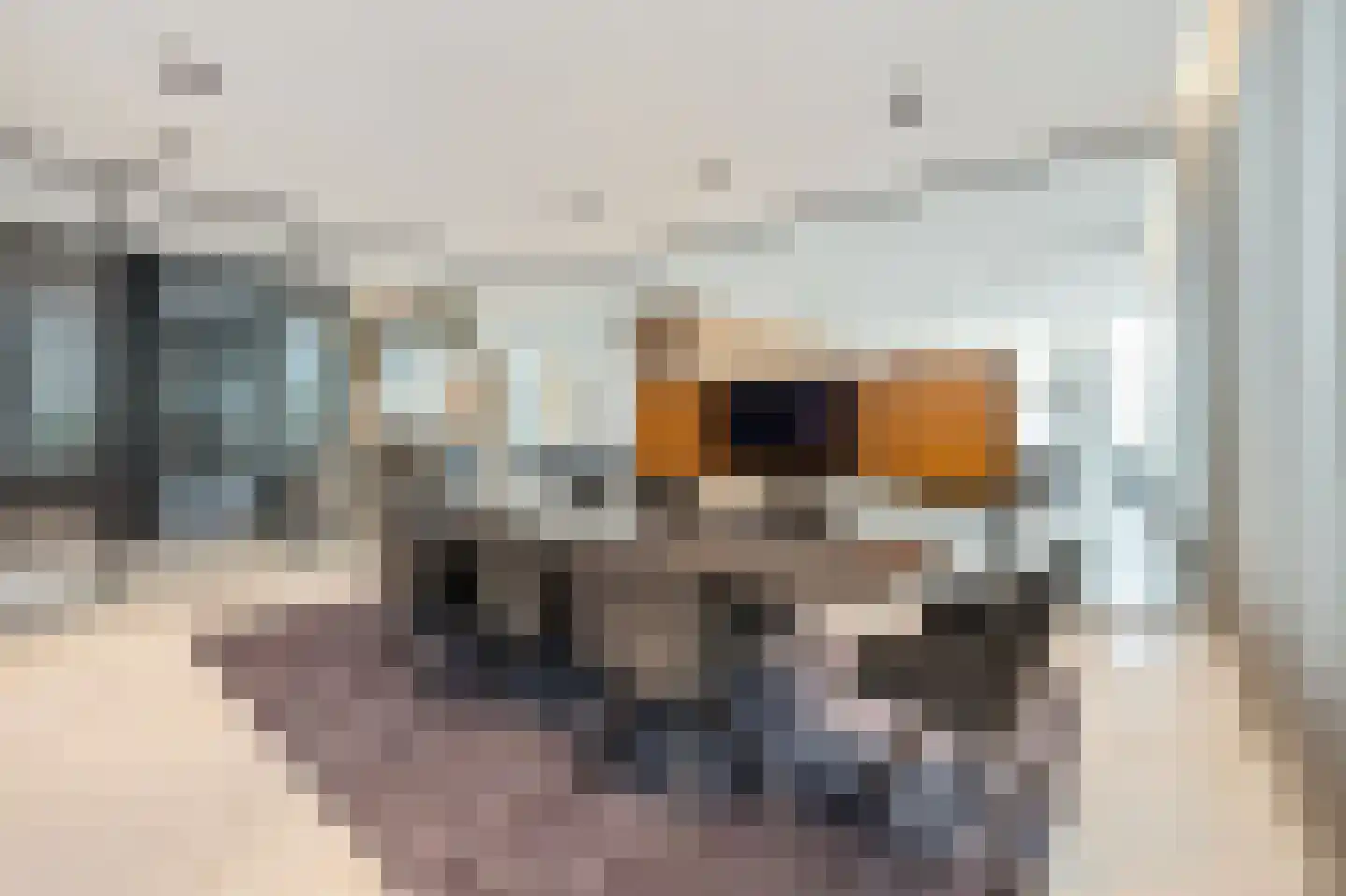 Pieter de Hoochstraat 11 D 1 Amsterdam thumbnail 11