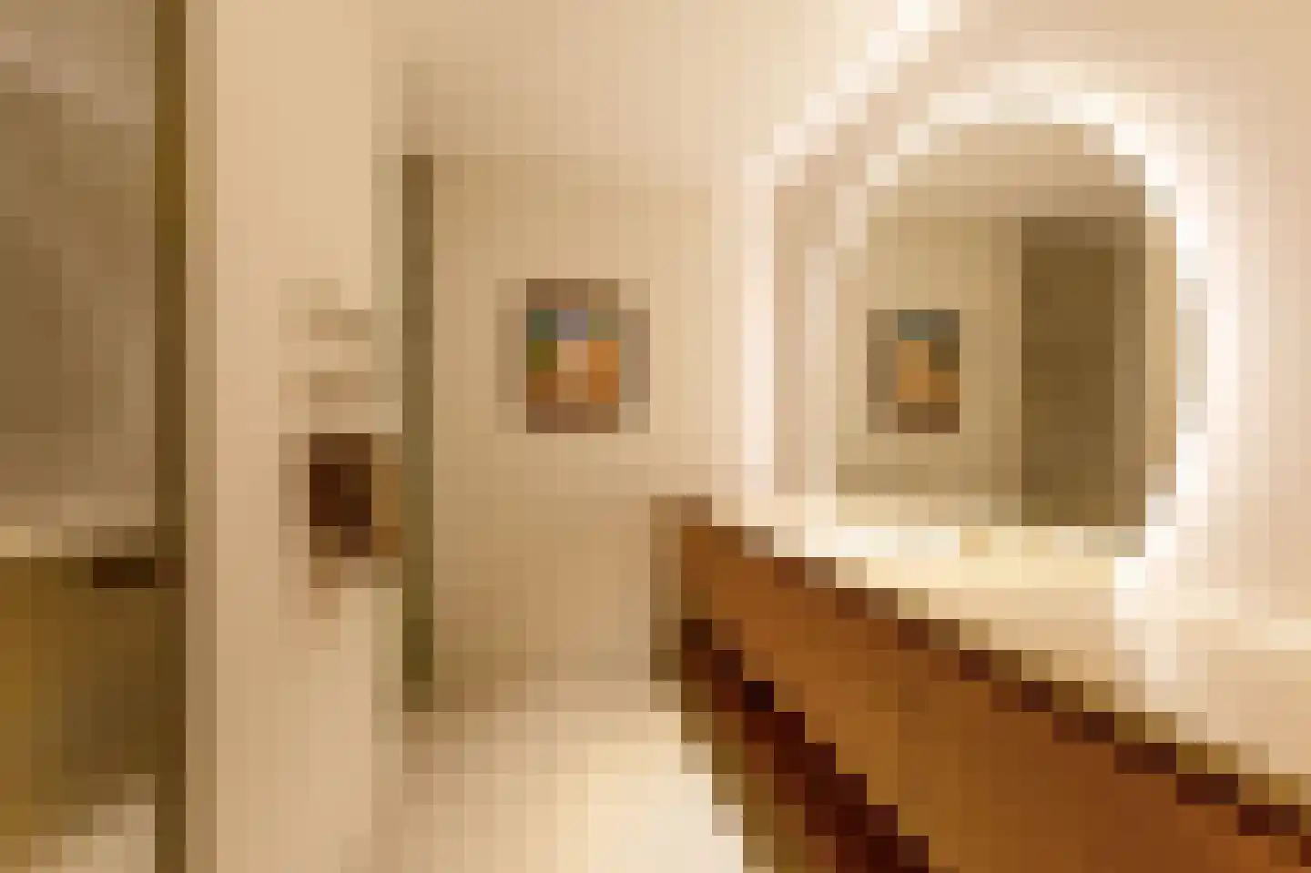 Pieter de Hoochstraat 11 D 1 Amsterdam thumbnail 14