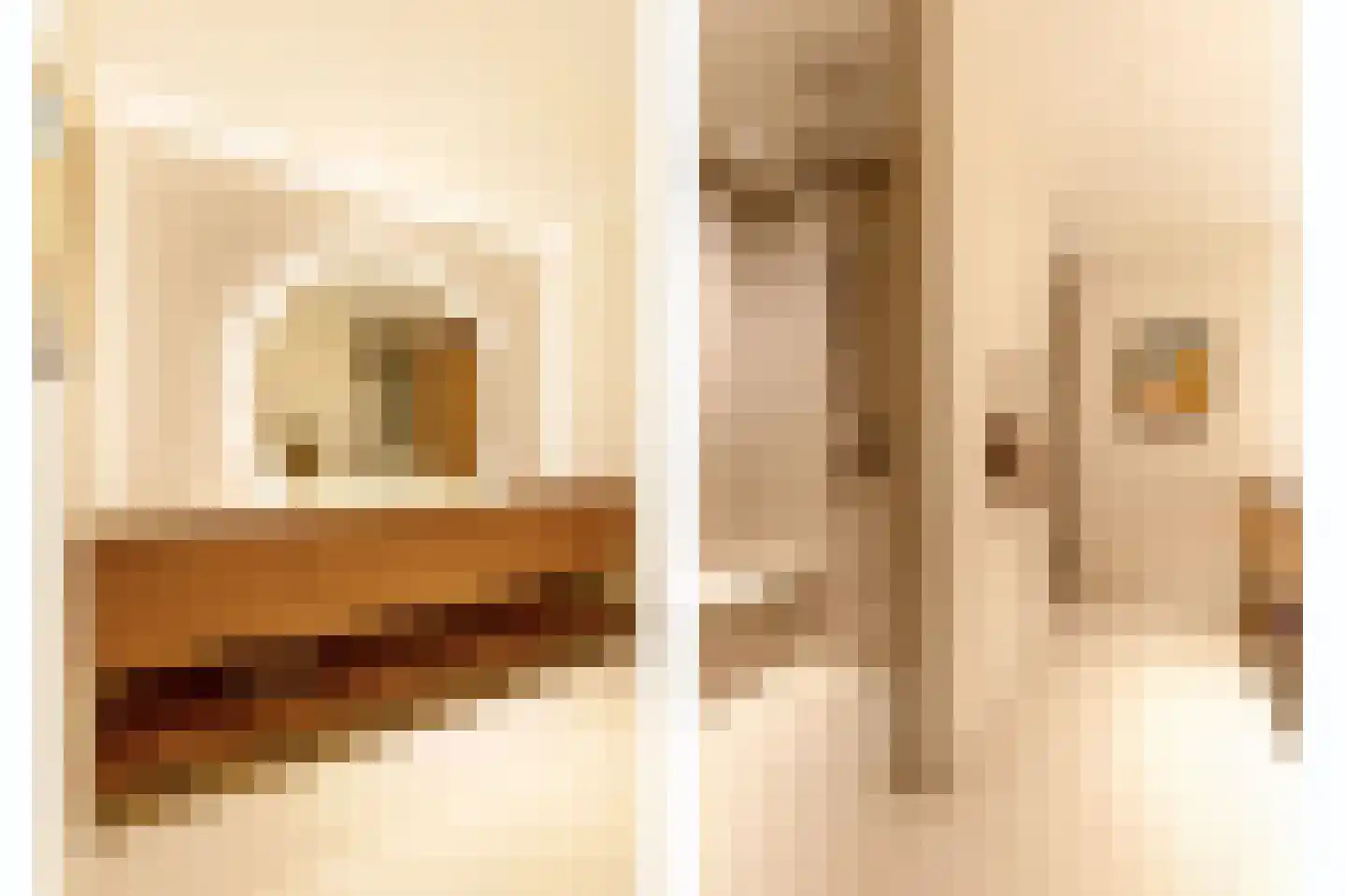 Pieter de Hoochstraat 11 D 1 Amsterdam thumbnail 15