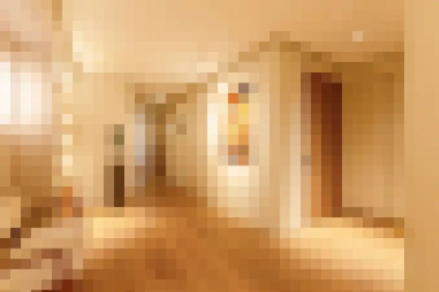Pieter de Hoochstraat 11 D 1 Amsterdam thumbnail 16