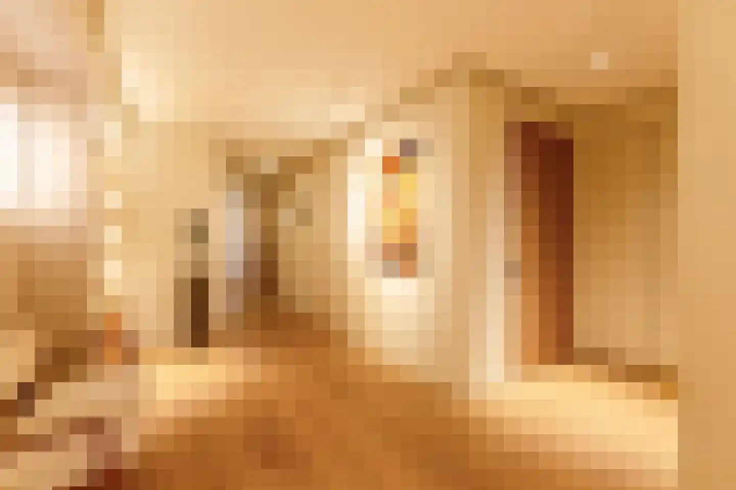 Pieter de Hoochstraat 11 D 1 Amsterdam thumbnail 16